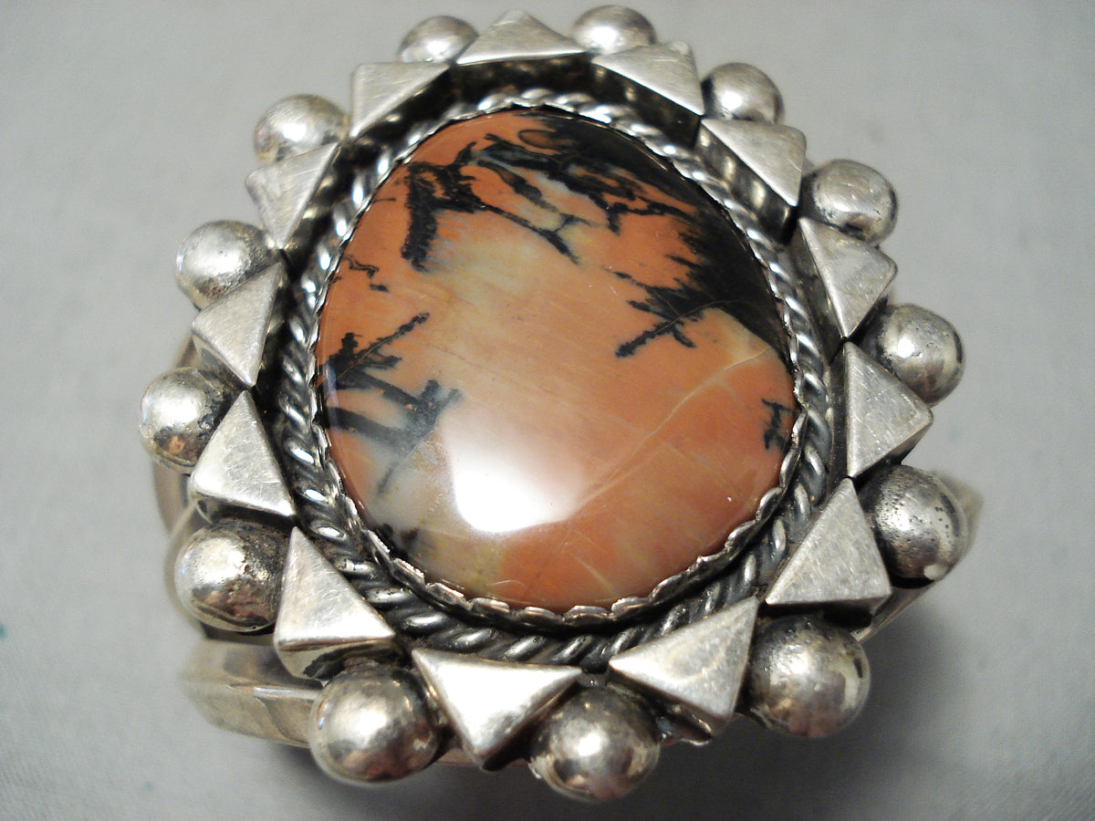 Rare Holbrook Az Signed Vintage Native American Navajo Petrified