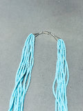 Gorgy!! Native American Navajo Turquoise Tubule Sterling Silver Necklace-Nativo Arts