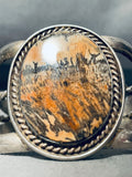 Painted Desert Vintage Native American Navajo Sterling Silver Petrified Wood Bracelet-Nativo Arts