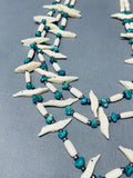 One Of The Most Special Vintage Native American Zuni Bird Shell Sterling Silver Necklace-Nativo Arts