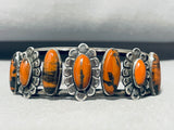 One Of Most Unique Ever Vintage Native American Navajo Petrified Wood Sterling Silver Bracelet-Nativo Arts