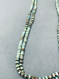 Incredible Green Turquoise Heishi Segmented Sterling Silver Necklace-Nativo Arts