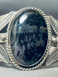 Midnight Mysterious Vintage Native American Navajo Petrified Wood Sterling Silver Bracelet-Nativo Arts