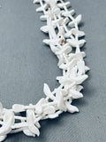 Rare White Dove Vintage Santo Domingo Sterling Silver Heishi Necklace-Nativo Arts