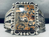 Tigers Fur Vintage Native American Navajo Sterling Silver Petrified Wood Bracelet-Nativo Arts