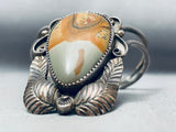 One Of The Most Unique Vintage Native American Navajo Teardrop Agate Sterling Silver Bracelet-Nativo Arts