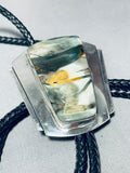 Green Jasper!! Vintage Native American Navajo Sterling Silver Jasper Bolo Tie-Nativo Arts