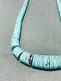 Gorgeous Vintage Santo Domingo Turquoise Sterling Silver Necklace-Nativo Arts