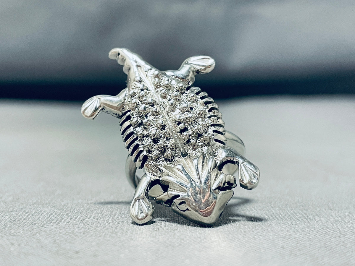Alluring Native American Navajo Sterling Silver Toad Ring – Nativo Arts