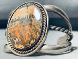 Painted Desert Vintage Native American Navajo Sterling Silver Petrified Wood Bracelet-Nativo Arts