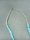 Fascinating Native American Navajo Turquoise Sterling Silver Gecko Necklace Signed-Nativo Arts