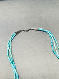 One Of The Most Intricate Vintage Native American Zuni Turquoise Fetish Sterling Silver Necklace-Nativo Arts