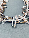 One Of The Best Vintage Santo Domingo Bird Shell Heishi Necklac Eold-Nativo Arts