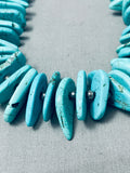 Magnificent 96 Grams Native American Navajo Easter Blue Turquoise Sterling Silver Necklace-Nativo Arts