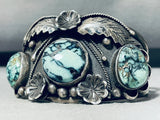 White Stallion Mine! Very Rare Vintage Native American Navajo Turquoise Sterling Silver Bracelet-Nativo Arts