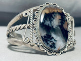 Moose Fur Petrified Wood Vintage Native American Navajo Sterling Silver Bracelet-Nativo Arts