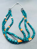Spiderweb Tubule Turquoise Native American Navajo Sterling Silver Shell Necklace-Nativo Arts