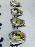 289 Grams Native American Navajo Turquoise Turtle Sterling Silver Squash Blossom Necklaces-Nativo Arts