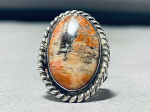 Painted Desert Vintage Native American Navajo Sterling Silver Petrified Wood Ring Old-Nativo Arts