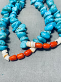 Vibrant Vintage Native American Navajo Kingman Turquoise Coral Shell Heishi Jacla Necklace-Nativo Arts
