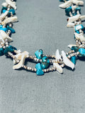 Incredible Vintage Native American Zuni Turquoise Animal Sterling Silver Heishi Necklace-Nativo Arts