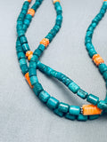 Spiderweb Tubule Turquoise Native American Navajo Sterling Silver Shell Necklace-Nativo Arts
