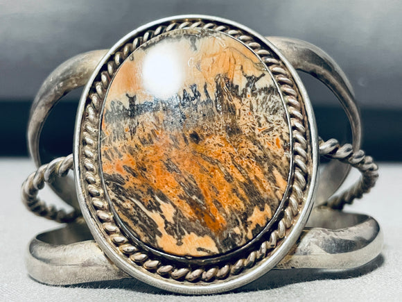 Painted Desert Vintage Native American Navajo Sterling Silver Petrified Wood Bracelet-Nativo Arts