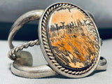 Painted Desert Vintage Native American Navajo Sterling Silver Petrified Wood Bracelet-Nativo Arts
