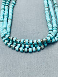 Intricate Disc Heishi Navajo Turquoise Sterling Silver Necklace-Nativo Arts