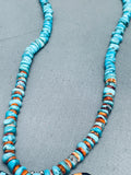 One Of The Most Beautiful Native American Zuni Turquoise Butterfly Sterling Silver Necklace-Nativo Arts