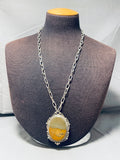Desert Scene Jasper!! Vintage Native American Navajo Sterling Silver Necklace-Nativo Arts