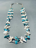Incredible Vintage Native American Zuni Turquoise Animal Sterling Silver Heishi Necklace-Nativo Arts