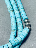 Incredible Tubule Turquoise Sterling Silver Native American Navajo Necklace-Nativo Arts