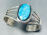 Birds Eye Spiderweb Turquoise Native American Navajo Sterling Silver Bracelet-Nativo Arts