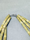 Native American Astounding Vintage Santo Domingo Serpentine & Turquoise Sterling Silver Necklace-Nativo Arts