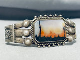 Natural Forest Vintage Native American Navajo Petrified Wood Sterling Silver Bracelet-Nativo Arts