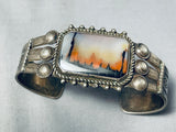 Natural Forest Vintage Native American Navajo Petrified Wood Sterling Silver Bracelet-Nativo Arts