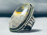 40 Gram Native American Zuni Honeybee Jasper Sterling Silver Ring-Nativo Arts