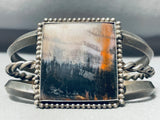 Natural Nature Scene Vintage Native American Navajo Petrified Wood Sterling Silver Bracelet Old-Nativo Arts