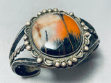 Natural Nature Scene Vintage Native American Navajo Petrified Wood Sterling Silver Bracelet-Nativo Arts