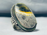 40 Gram Native American Zuni Honeybee Jasper Sterling Silver Ring-Nativo Arts