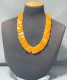 Native American One Of The Most Unique Southwest Shell Hand Woven Necklace-Nativo Arts