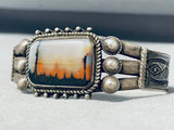Natural Forest Vintage Native American Navajo Petrified Wood Sterling Silver Bracelet-Nativo Arts