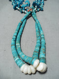 Fascinating Vintage Native American Navajo Kingman Royston Turquoise Shell Jacla Necklace-Nativo Arts