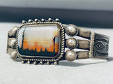 Natural Forest Vintage Native American Navajo Petrified Wood Sterling Silver Bracelet-Nativo Arts