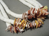 One Most Unusual Vintage Santo Domingo White Shell Native American Necklace Old-Nativo Arts