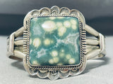Best Vintage Native American Navajo Ocean Japser Sterling Silver Bracelet-Nativo Arts