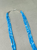 Absolutely Incredible Native American Navajo Tubule Denim Lapis Sterling Silver Necklace-Nativo Arts