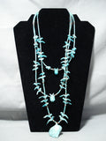 One Of The Most Intricate Vintage Native American Zuni Turquoise Fetish Sterling Silver Necklace-Nativo Arts