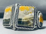 One Of The Most Unique Native American Navajo Honeybee Jasper Sterling Silver Coil Bracelet-Nativo Arts